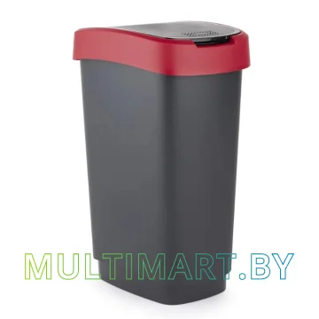 Мусорное ведро Rotho Twist 10 л 1754302255 (черный/красный) 